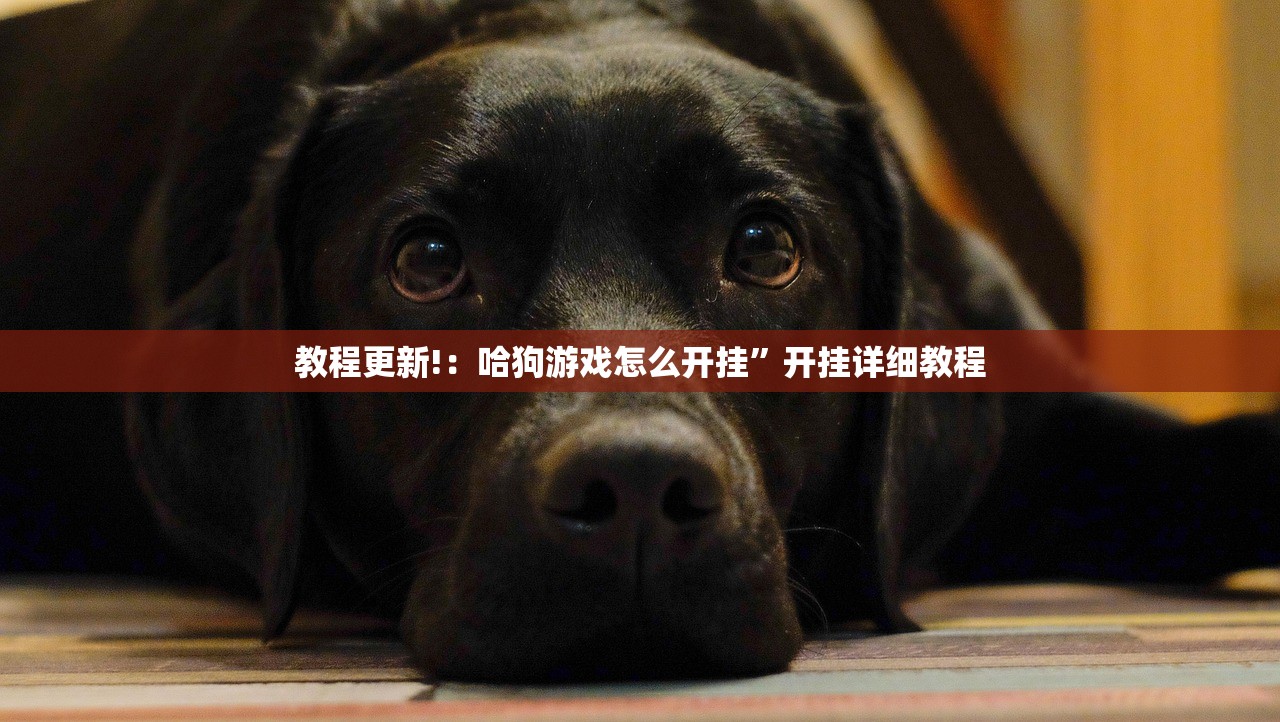 【北京:本轮疫情面临严峻挑战,北京疫情形势如何】