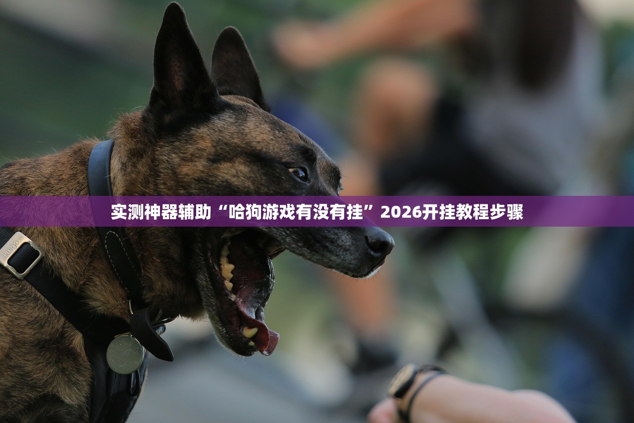可用版本“欢乐碰胡作弊”原来可以开挂