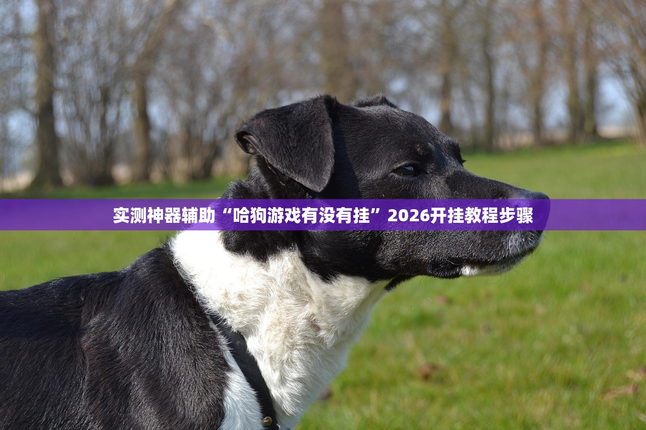 实测神器辅助“哈狗游戏有没有挂”2026开挂教程步骤