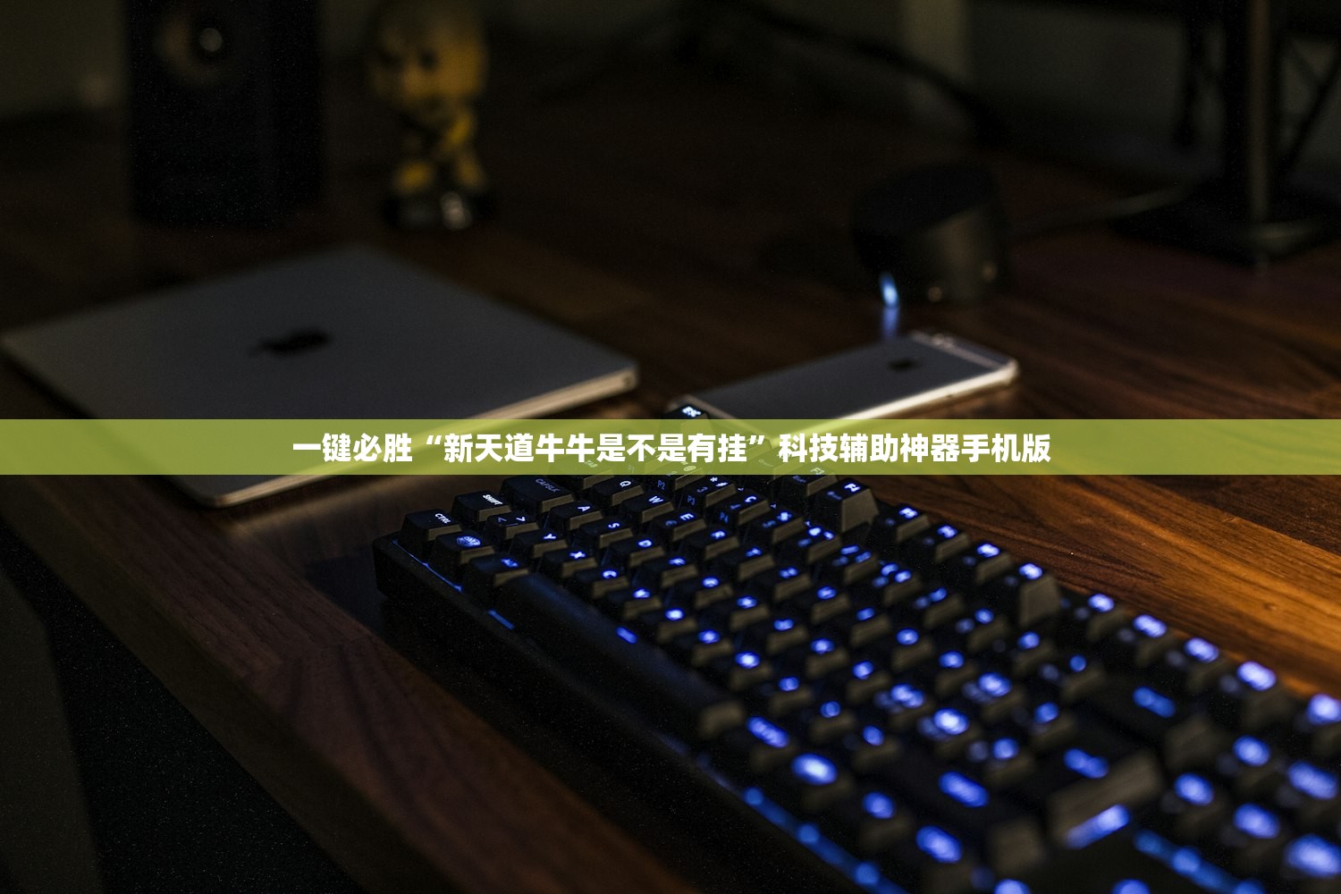 教程辅助!“新兴茶苑十三水自动配牌软件”开挂详细教程