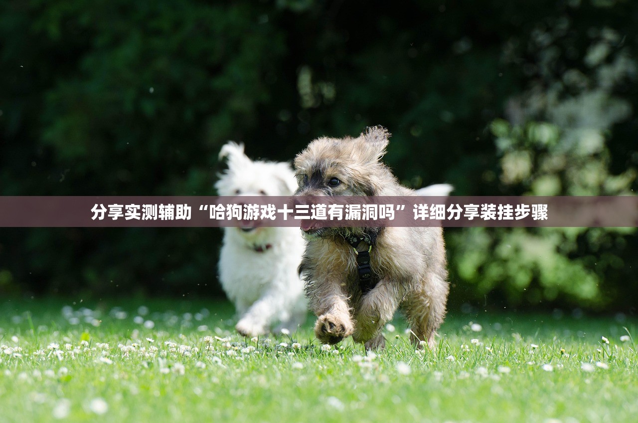 2026首发科技“小程序微乐麻将开挂方法”开挂详细教程