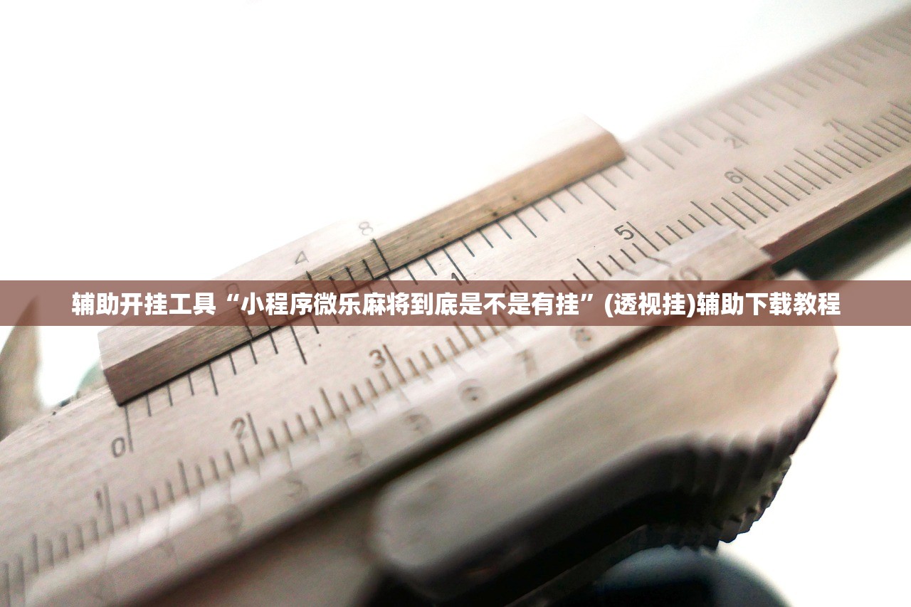 辅助开挂工具“小程序微乐麻将到底是不是有挂	”(透视挂)辅助下载教程