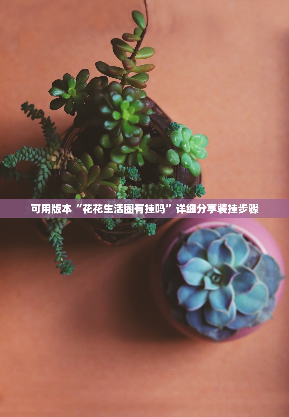 可用版本“花花生活圈有挂吗”详细分享装挂步骤