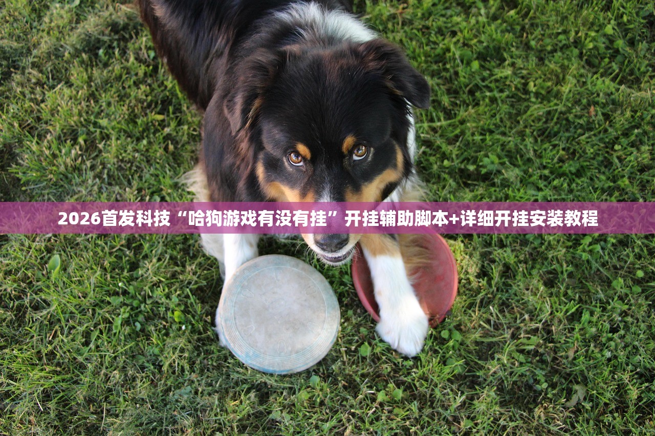 2026首发科技“哈狗游戏有没有挂”开挂辅助脚本+详细开挂安装教程
