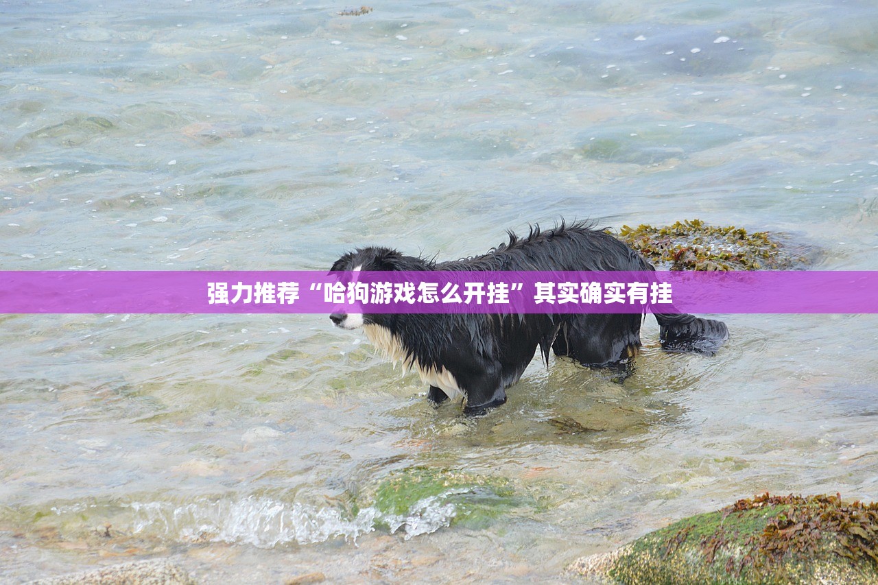 强力推荐“哈狗游戏怎么开挂”其实确实有挂