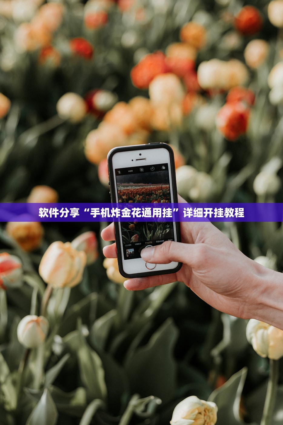 软件分享“手机炸金花通用挂”详细开挂教程
