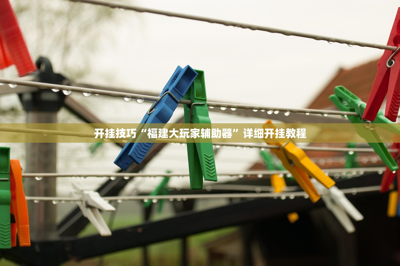 开挂技巧“福建大玩家辅助器”详细开挂教程