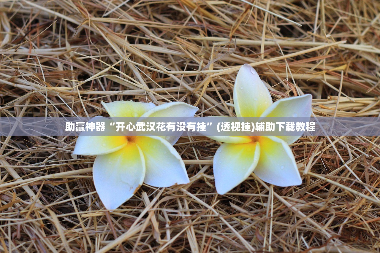 玩家辅助神器：微乐麻将必赢方法”开挂(透视)最新辅助详细