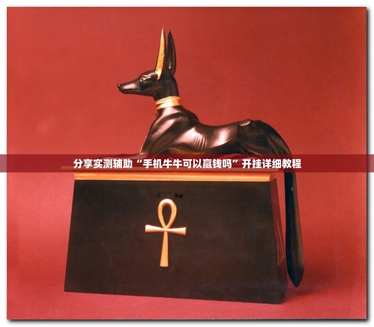 新款蓝鸟和轩逸那个宽:蓝鸟和轩逸怎么选