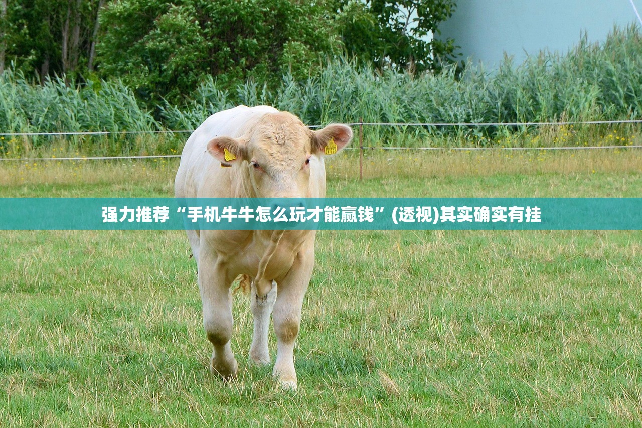 强力推荐“手机牛牛怎么玩才能赢钱	”(透视)其实确实有挂