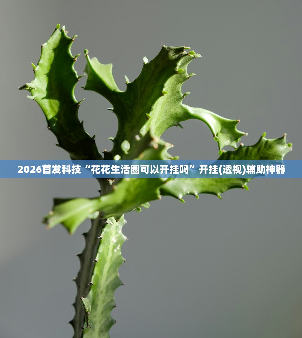 开挂辅助工具“吉祥填大坑可以开挂吗”2026开挂教程步骤