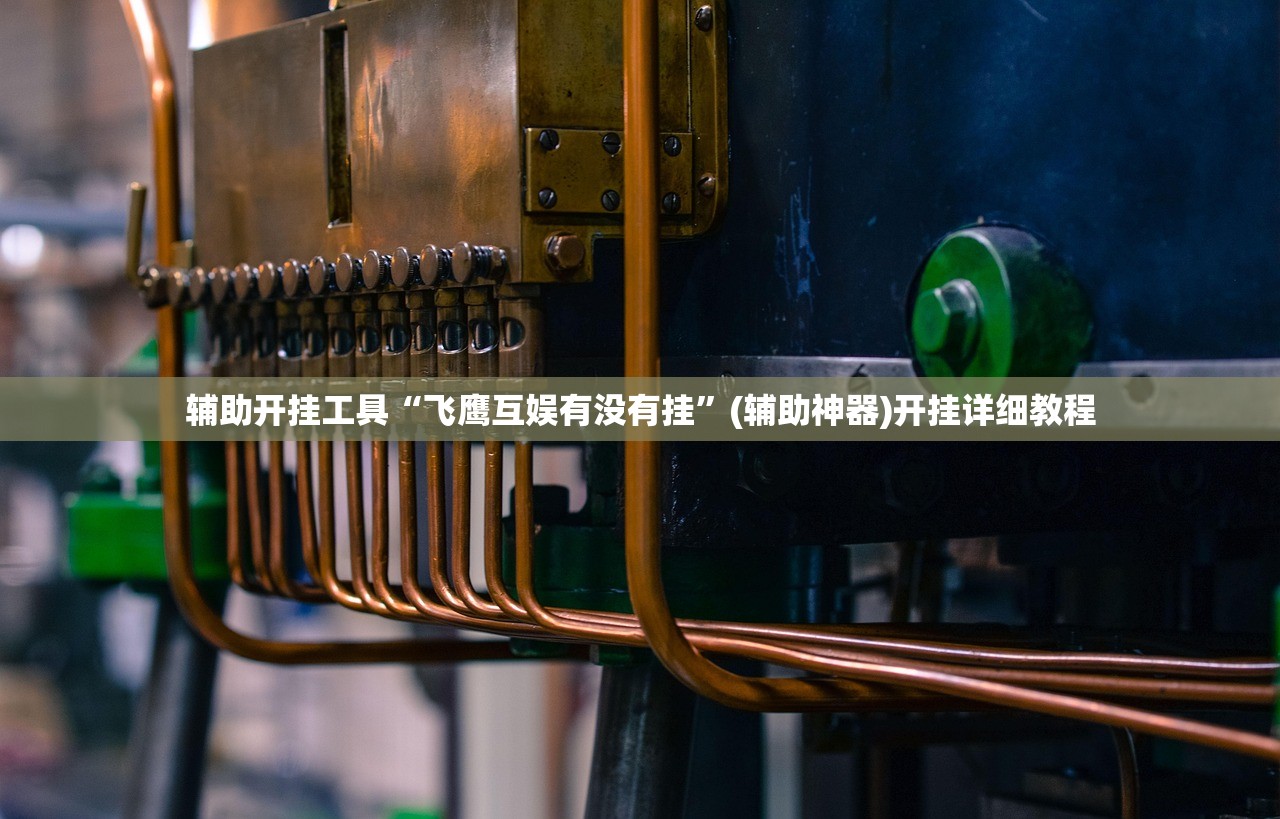 辅助开挂工具“飞鹰互娱有没有挂”(辅助神器)开挂详细教程