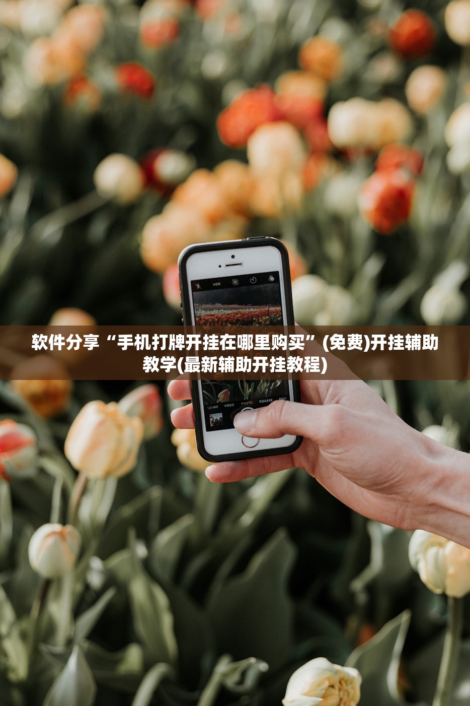 强力推荐“开心十三张怎么拿好牌”细辅助教程分享