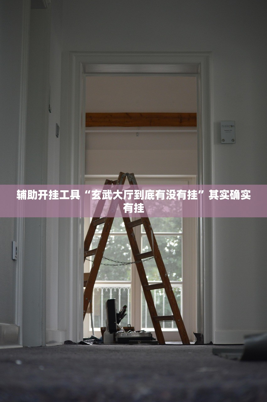 辅助开挂工具“玄武大厅到底有没有挂”其实确实有挂