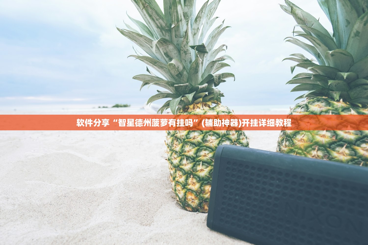 可用版本“闽游麻将十三水开挂教程”开挂详细教程