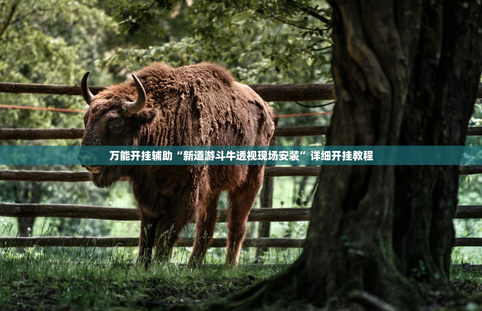 【哈尔滨封城,哈尔滨封城了么】