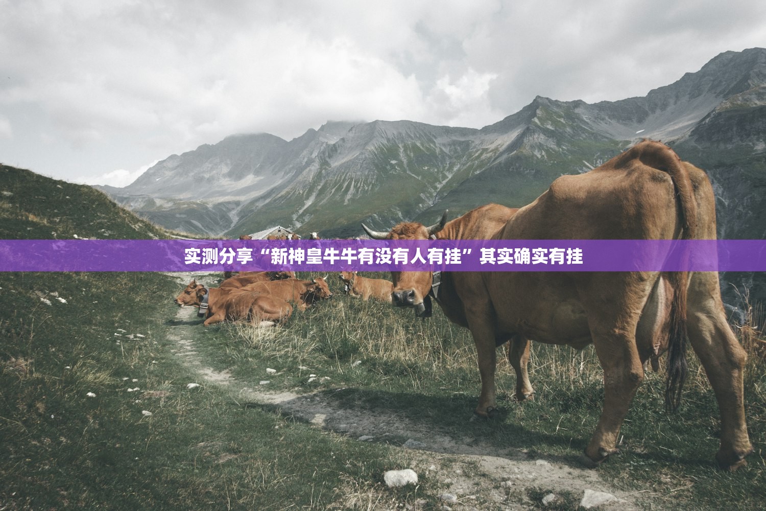 软件分享“蜀中生活圈可以开挂吗”(免费)开挂辅助教学(最新辅助开挂教程)