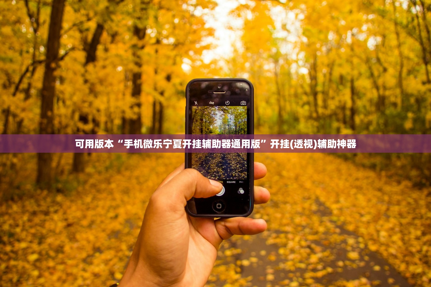 可用版本“手机微乐宁夏开挂辅助器通用版”开挂(透视)辅助神器