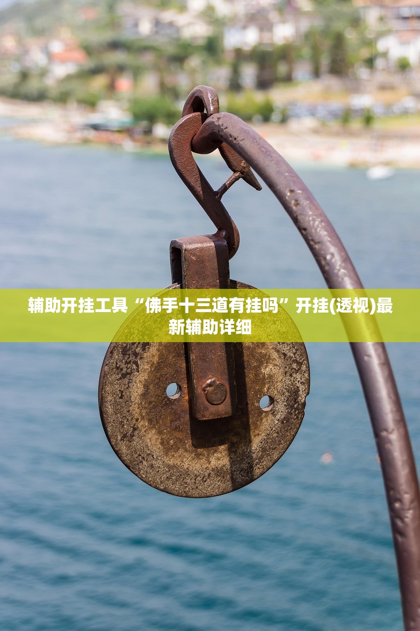 辅助开挂工具“佛手十三道有挂吗	”开挂(透视)最新辅助详细