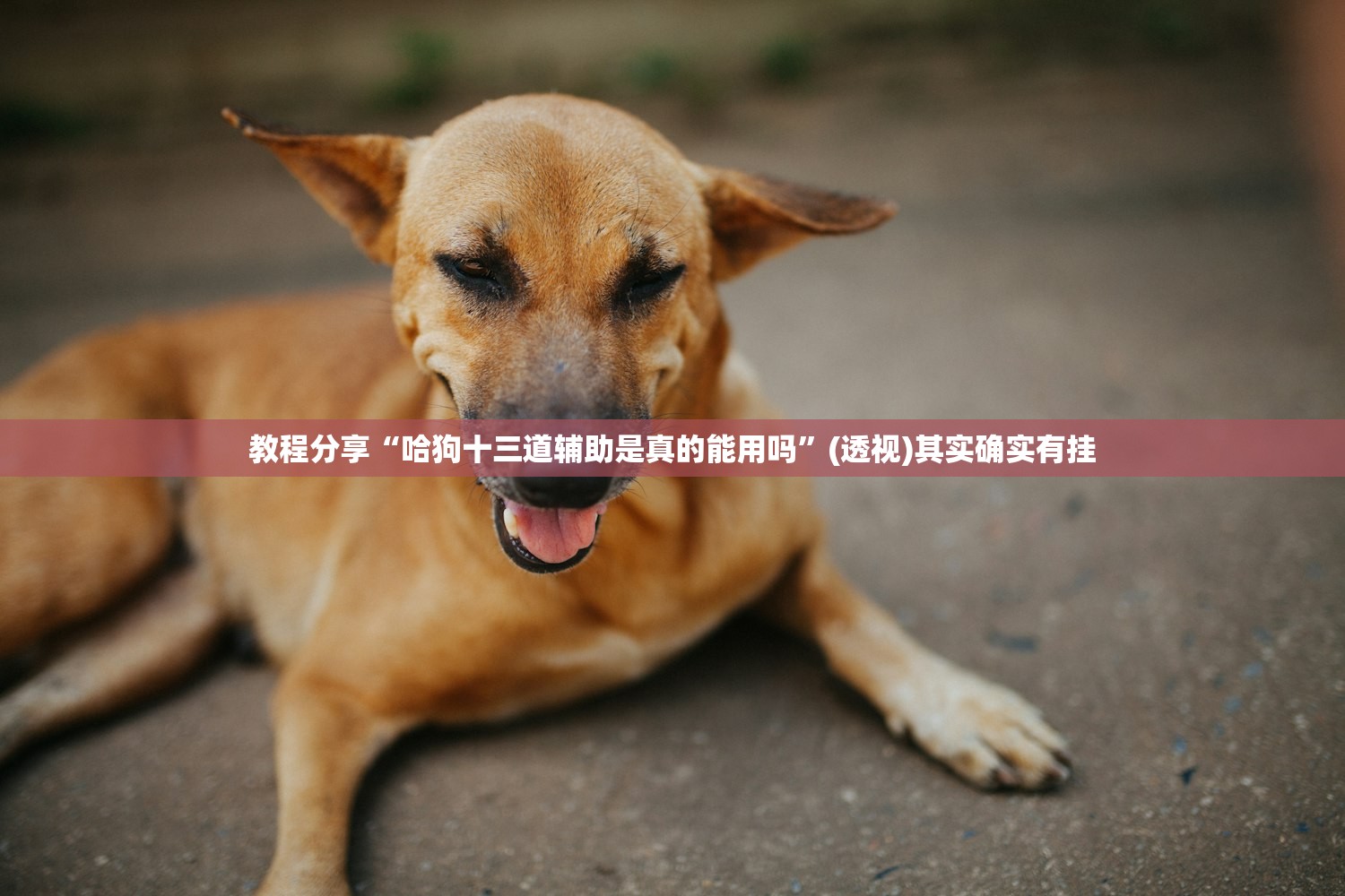黑龙江哈尔滨疫情最新消息（黑龙江疫情最新情况 最新消息哈尔滨疫情）