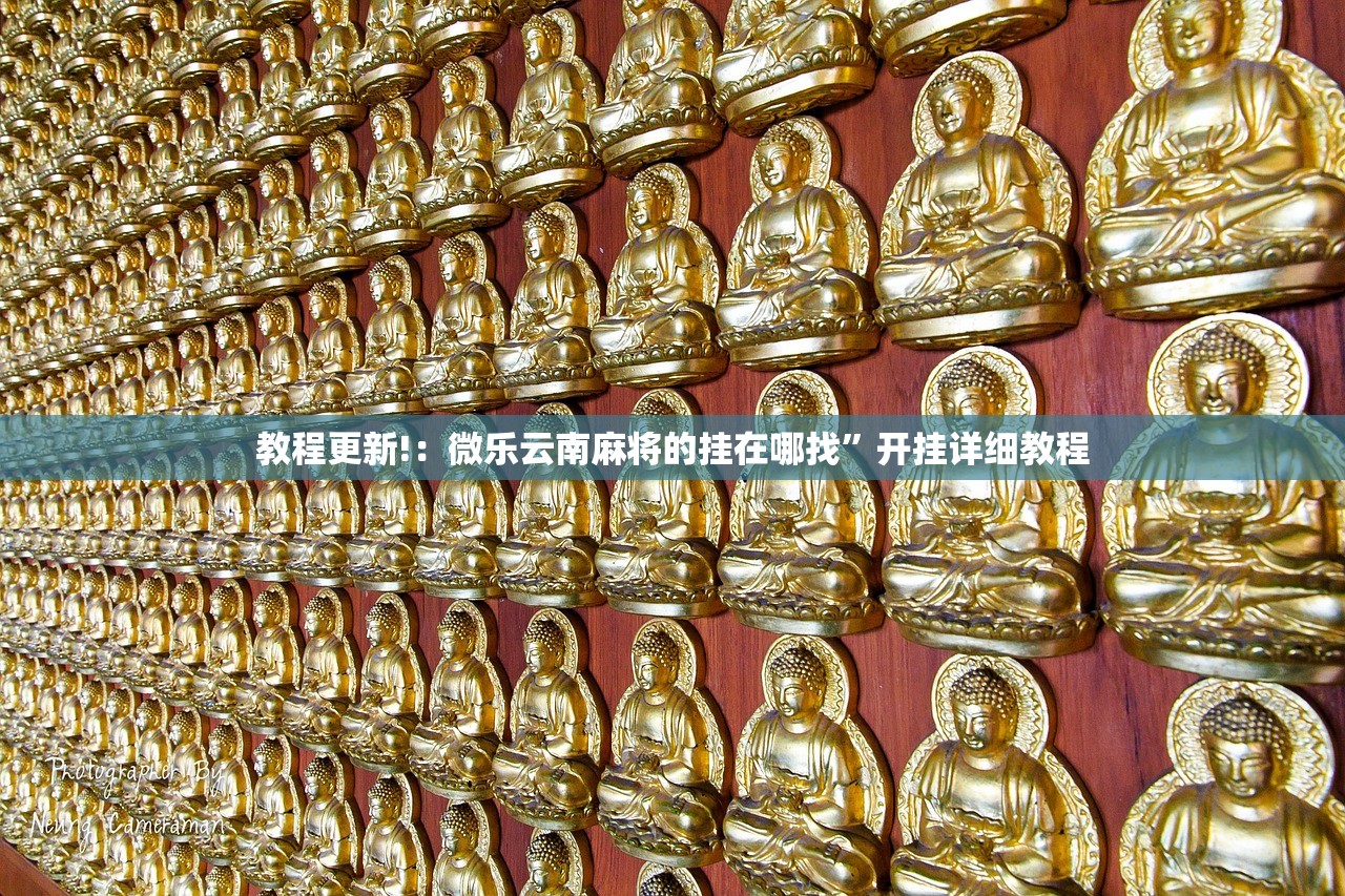 教程更新!：微乐云南麻将的挂在哪找”开挂详细教程