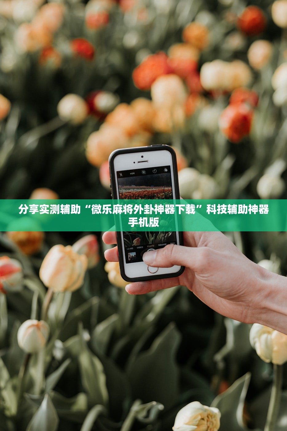 闽h是哪里的车牌/闽H是哪里的车牌