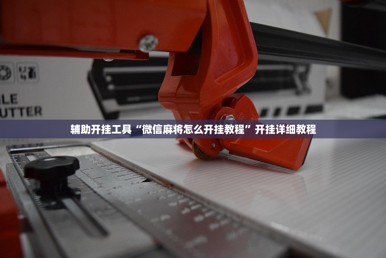 辅助开挂工具“微信麻将怎么开挂教程”开挂详细教程