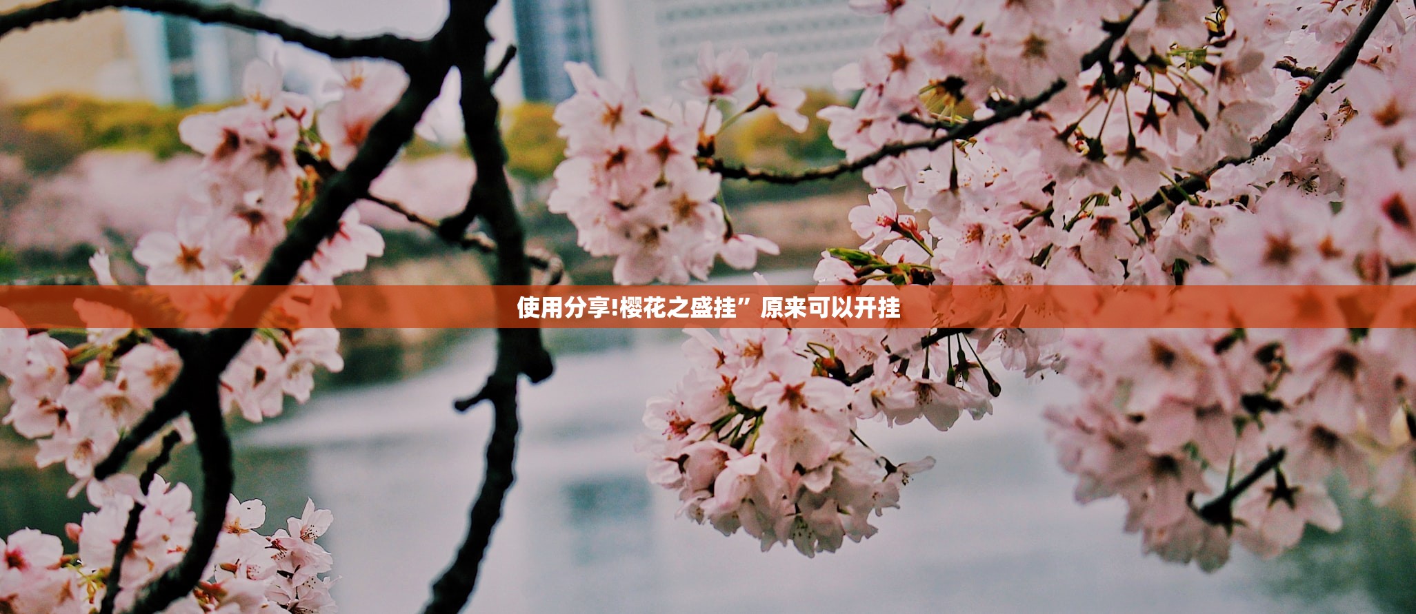 疫情政策/疫情政策逾期