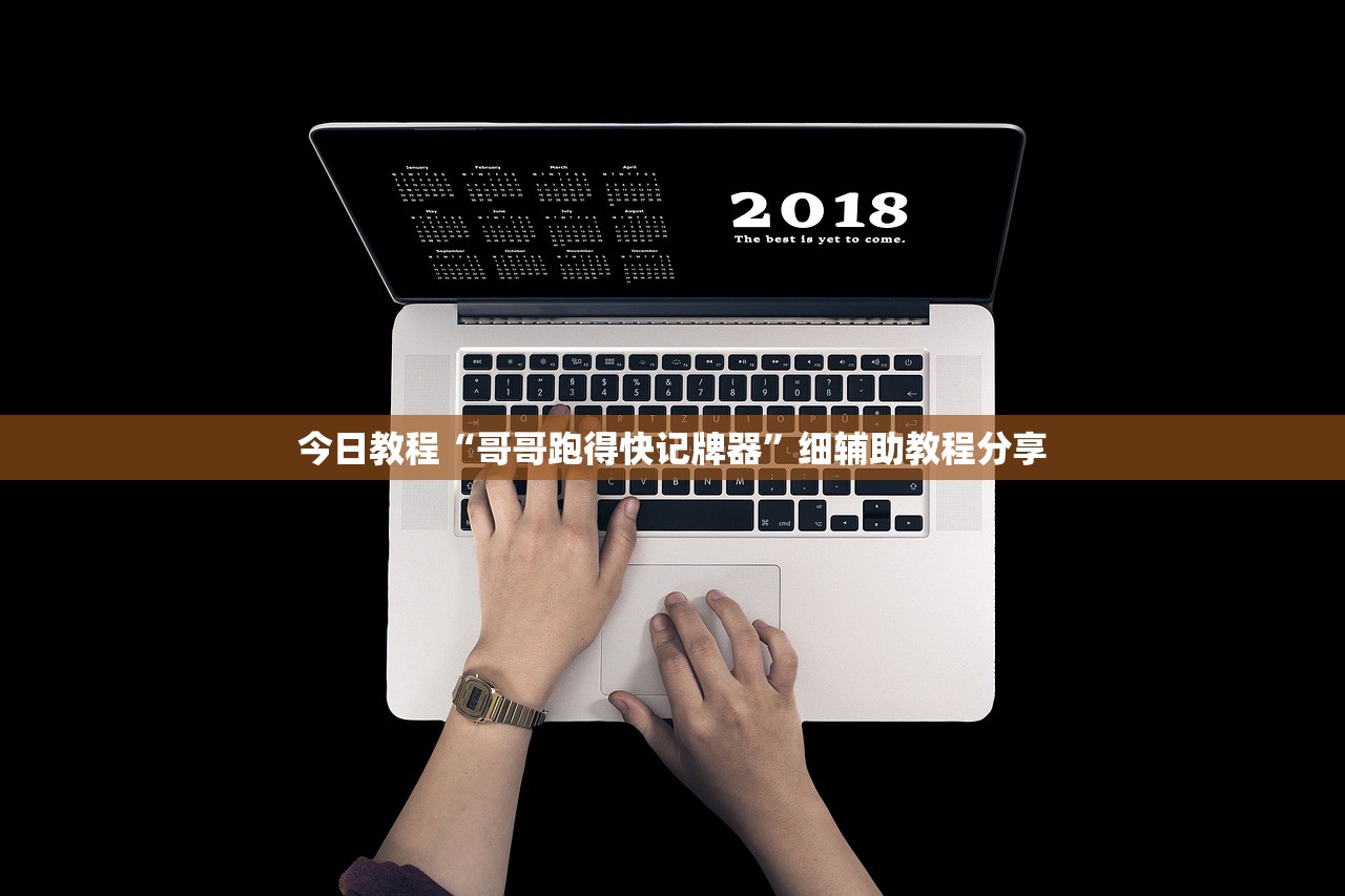 今日教程“哥哥跑得快记牌器”细辅助教程分享