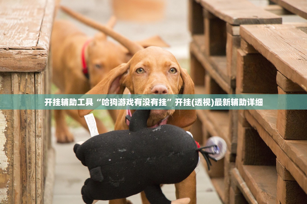 教程更新!：天蝎大厅怎么开挂”开挂(透视)辅助教程