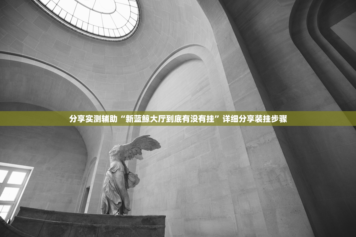 分享实测辅助“新蓝鲸大厅到底有没有挂”详细分享装挂步骤