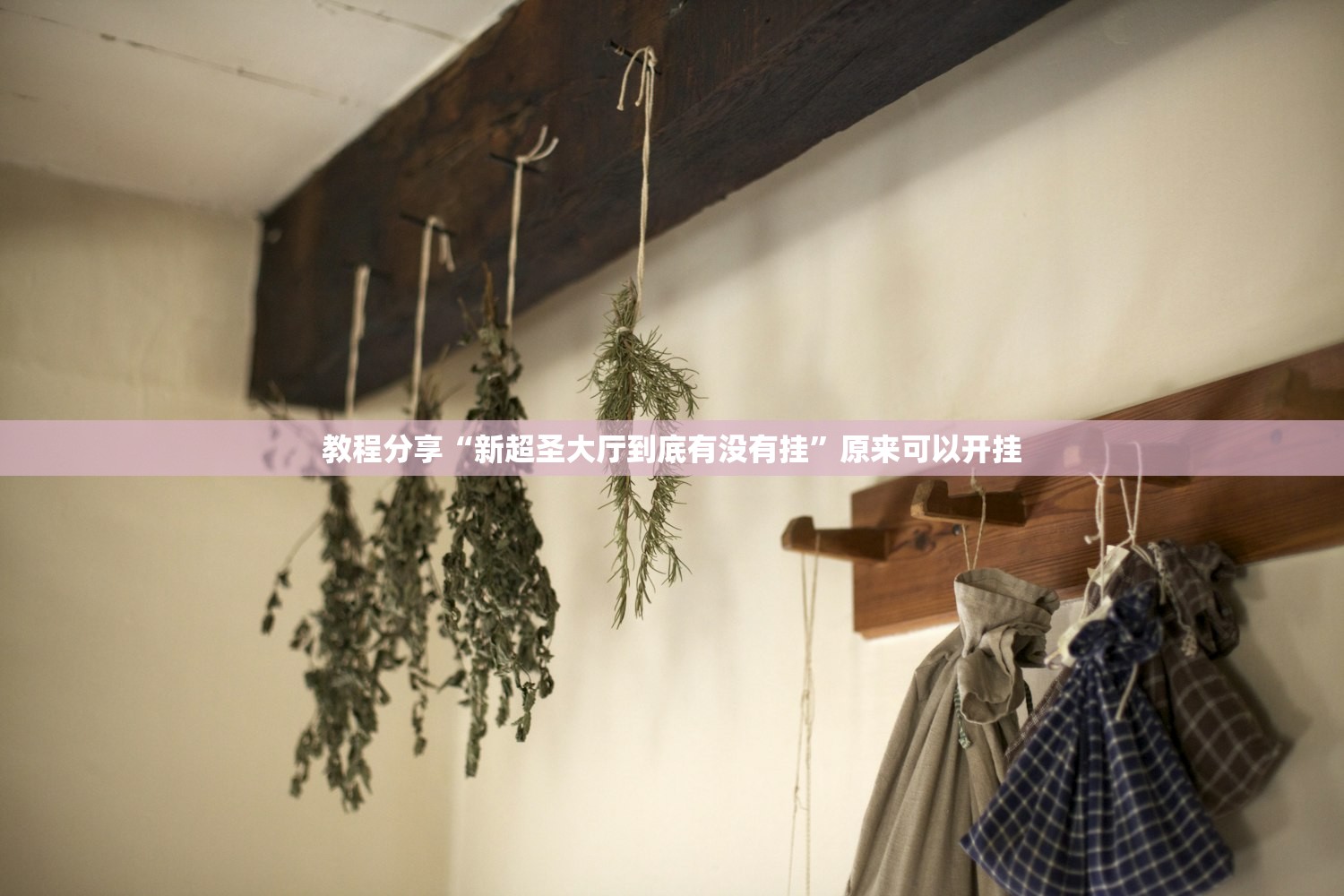 使用分享!智星德州万能开挂神器”(透视)其实确实有挂