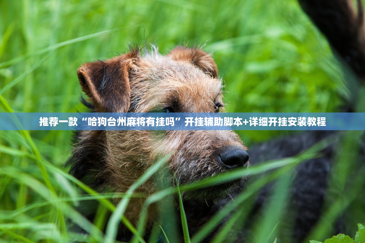 推荐一款“哈狗台州麻将有挂吗”开挂辅助脚本+详细开挂安装教程