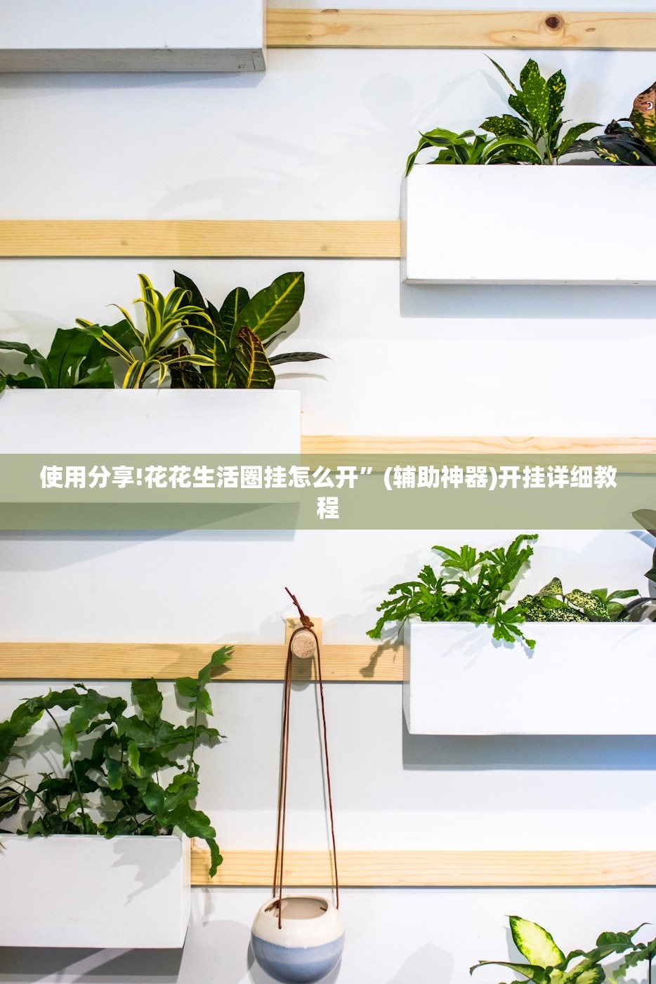 使用分享!花花生活圈挂怎么开”(辅助神器)开挂详细教程