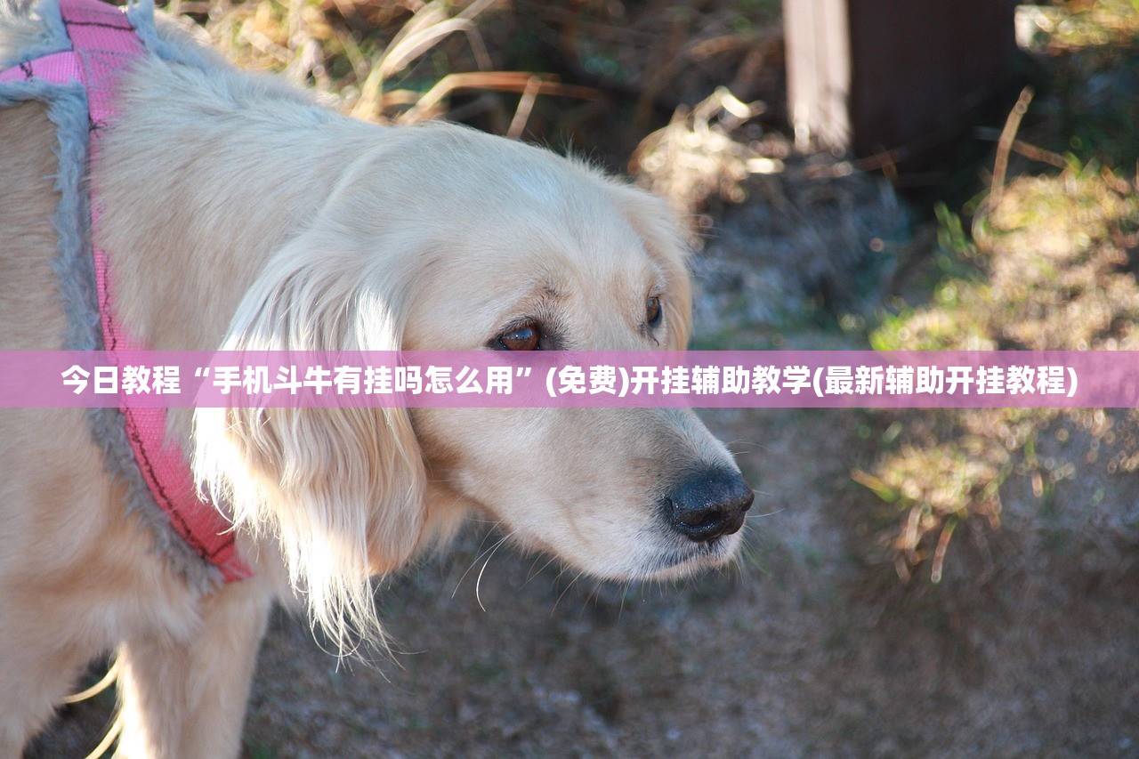 辅助神器“微乐湖南麻将小程序有没有挂”开挂(透视)最新辅助详细