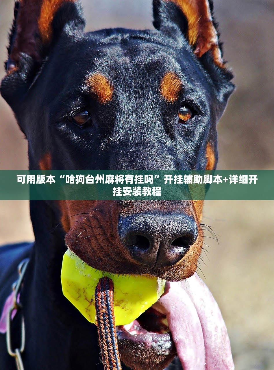 可用版本“哈狗台州麻将有挂吗”开挂辅助脚本+详细开挂安装教程