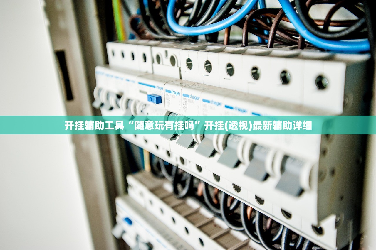 开挂辅助工具“随意玩有挂吗”开挂(透视)最新辅助详细