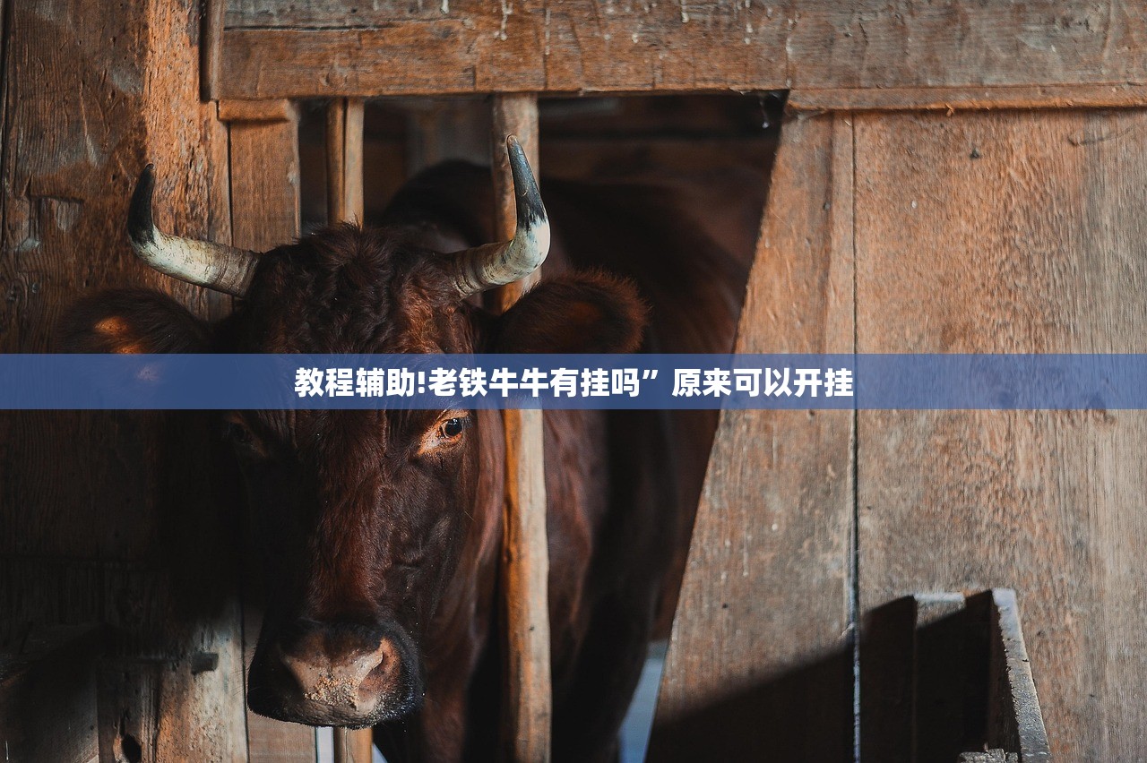 教程辅助!老铁牛牛有挂吗”原来可以开挂