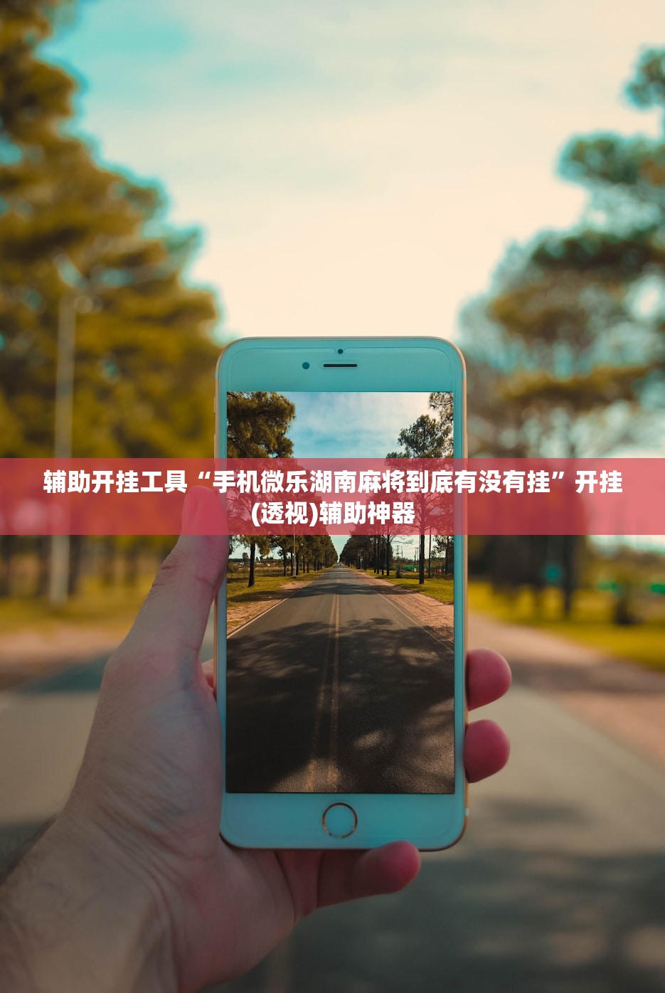 辅助开挂工具“手机微乐湖南麻将到底有没有挂”开挂(透视)辅助神器