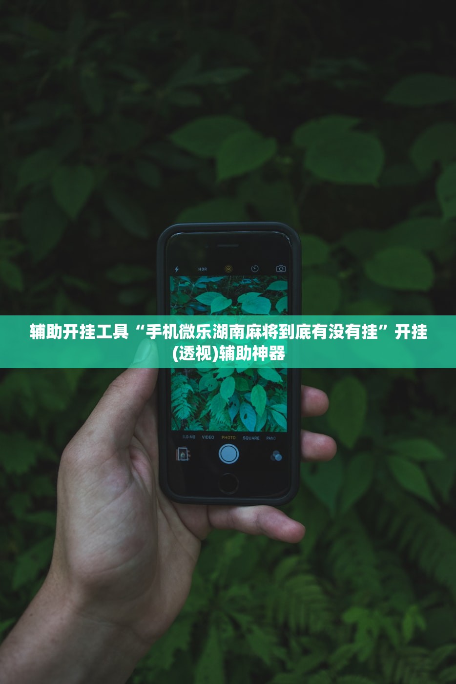 辅助开挂工具“手机微乐湖南麻将到底有没有挂”开挂(透视)辅助神器