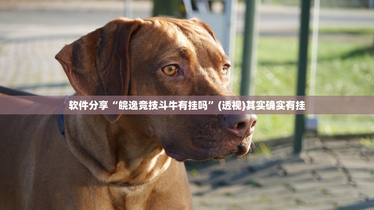 【31省区市新增4例无症状感染者/31省区市新增无症状感染20例】