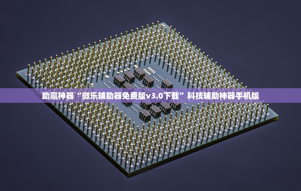 助赢神器“微乐辅助器免费版v3.0下载”科技辅助神器手机版