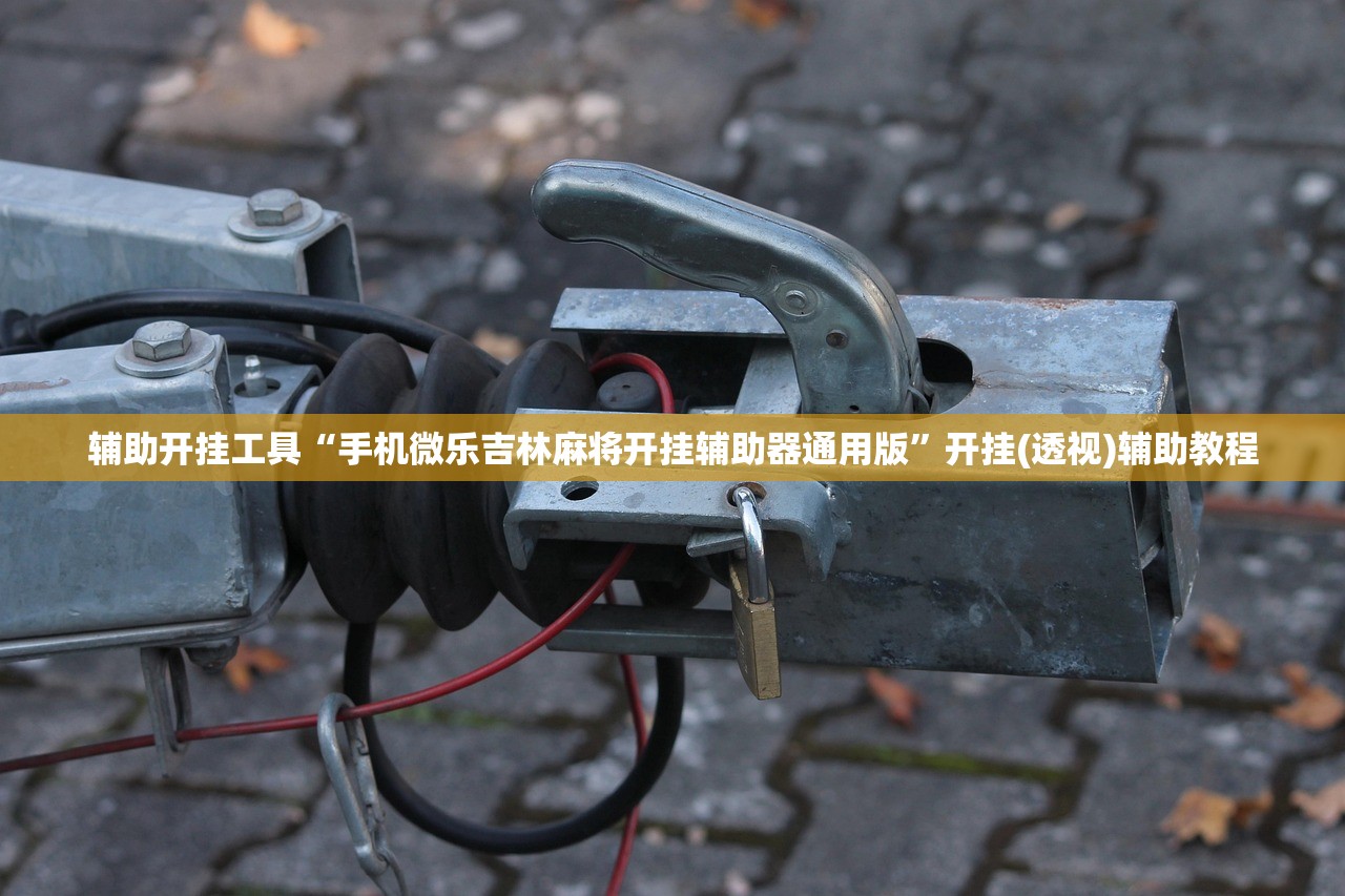 玩家辅助神器：手机棋牌开挂神器”开挂详细教程
