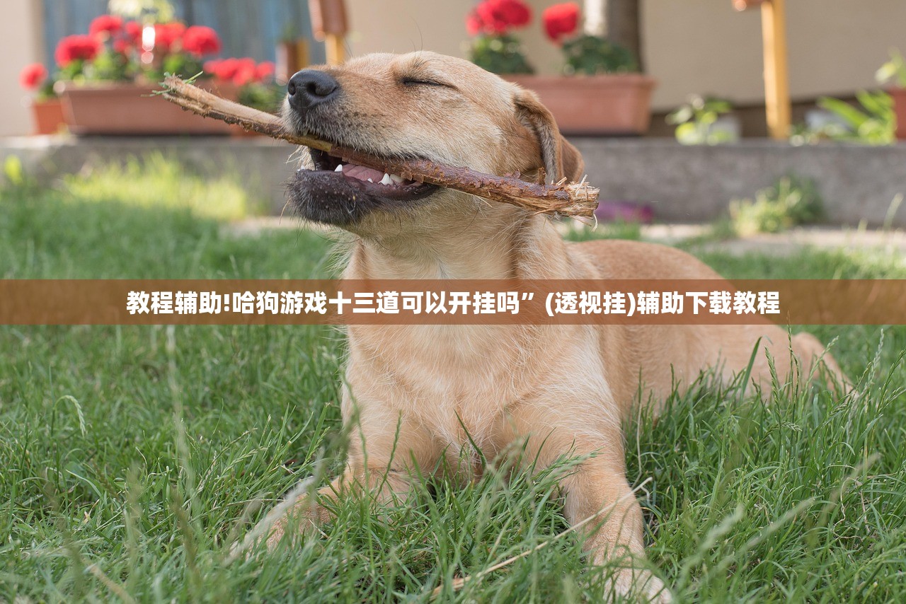 教程辅助!哈狗游戏十三道可以开挂吗”(透视挂)辅助下载教程