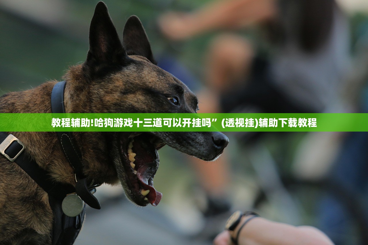 教程辅助!哈狗游戏十三道可以开挂吗”(透视挂)辅助下载教程