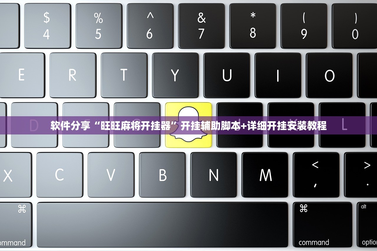 软件分享“旺旺麻将开挂器	”开挂辅助脚本+详细开挂安装教程