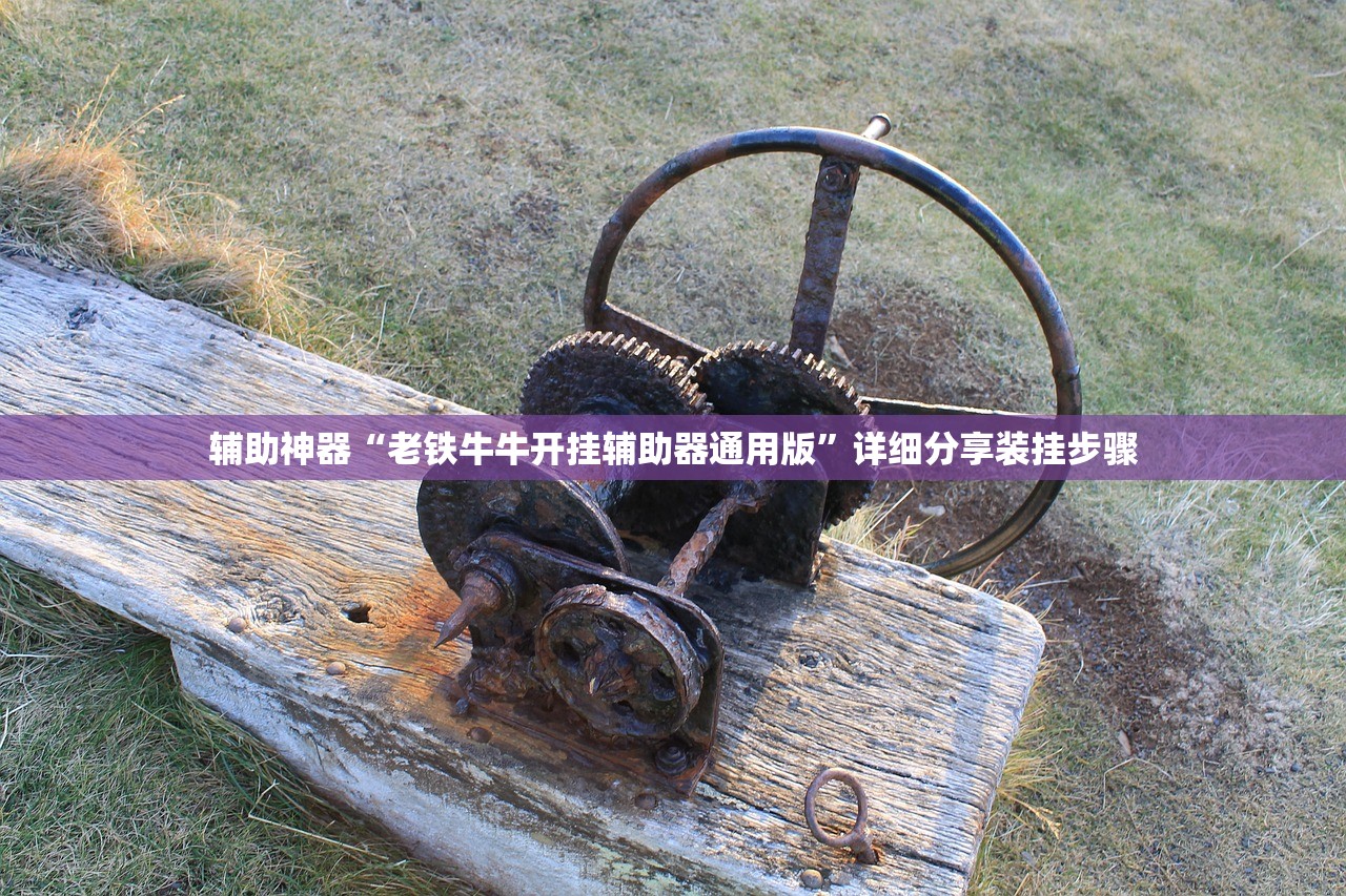 辅助神器“老铁牛牛开挂辅助器通用版”详细分享装挂步骤