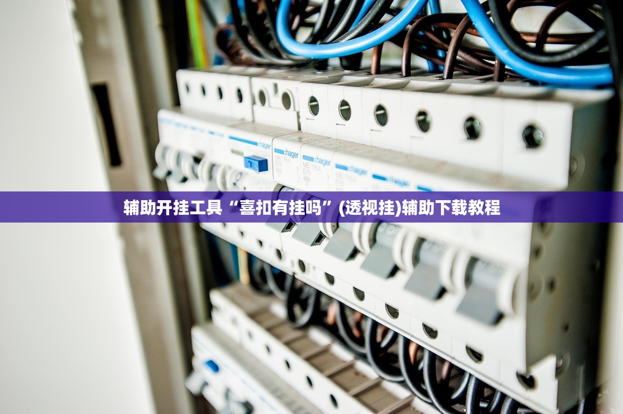 辅助开挂工具“喜扣有挂吗”(透视挂)辅助下载教程