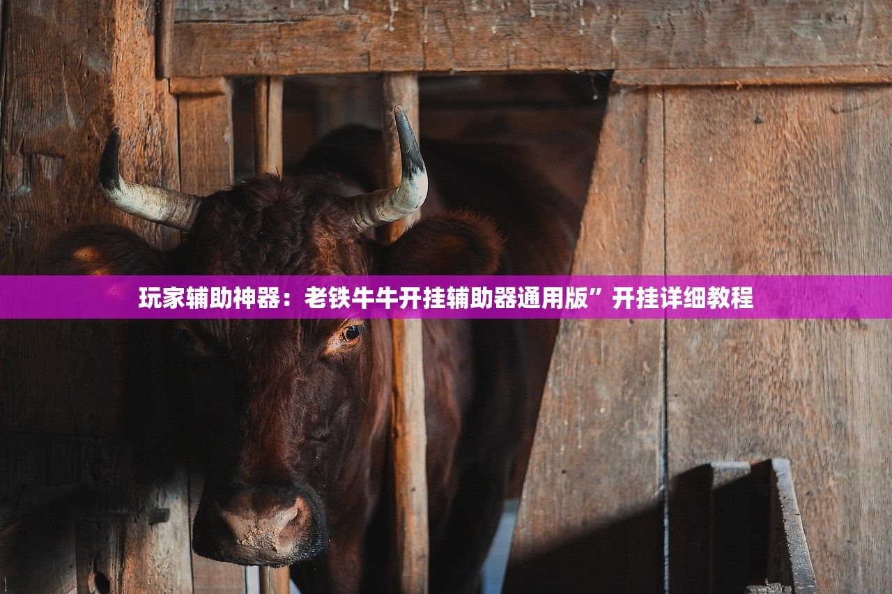 强力推荐“兴动麻将怎么能赢”开挂详细教程