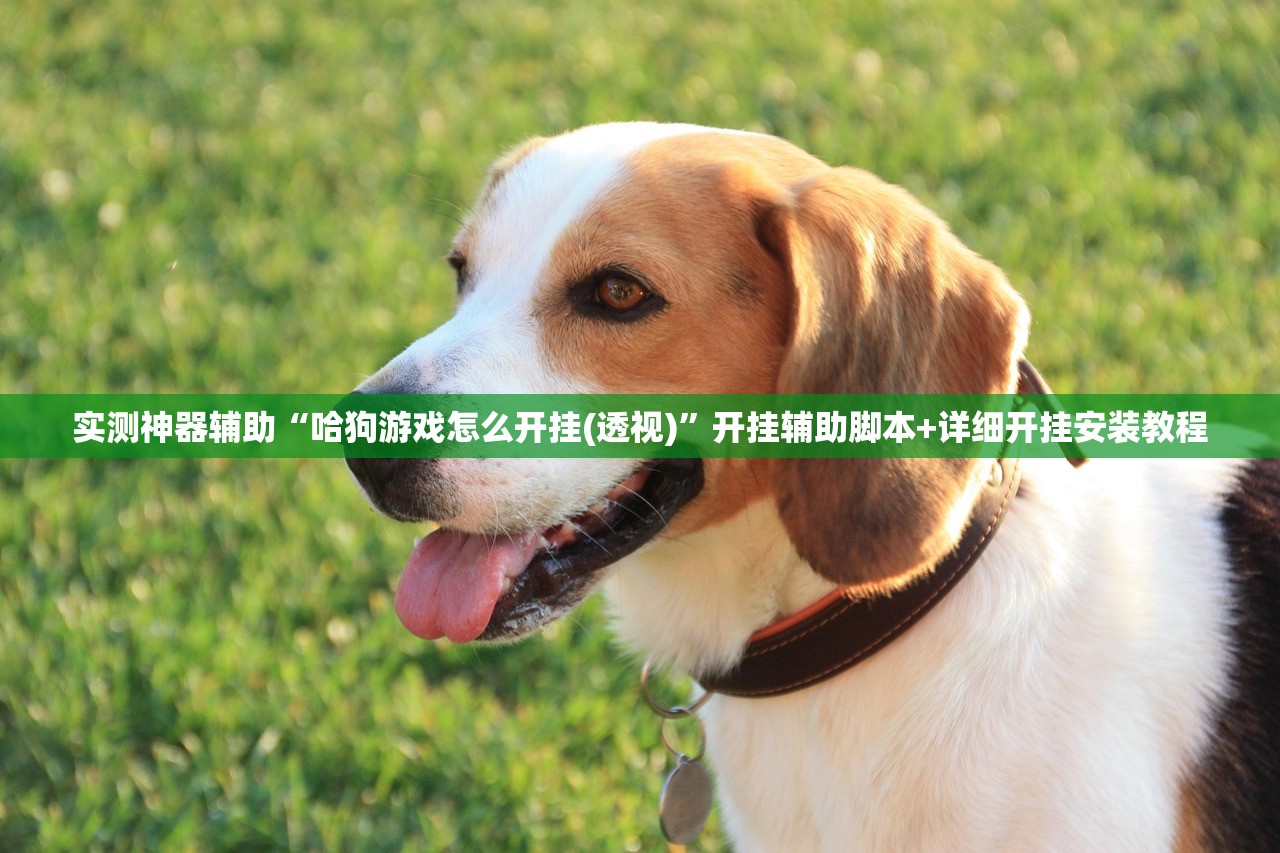 实测神器辅助“哈狗游戏怎么开挂(透视)”开挂辅助脚本+详细开挂安装教程